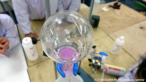 液体窒素の実験・アンモニアの噴水実験【小学探Ｑ教室】