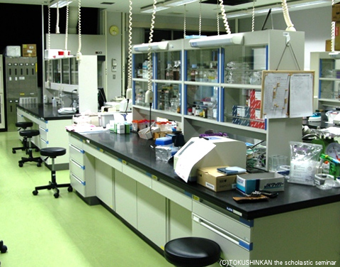 化学実験室2013a